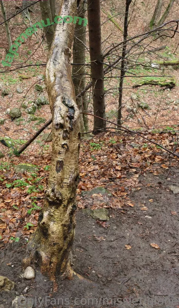 MissLetiBlane nude photo #0336 (LeticiaBlane / Letisia Blane / blaneleticia)