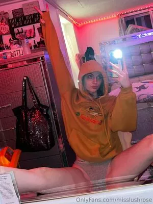 Misslushrose / brittney-bush / lilmissross / misslushrose222 nude photo #0072