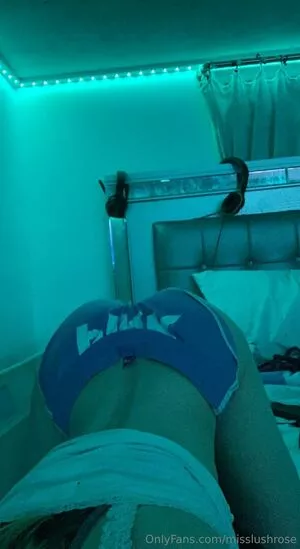 Misslushrose / brittney-bush / lilmissross / misslushrose222 nude photo #0117