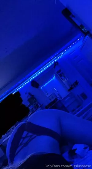 Misslushrose / brittney-bush / lilmissross / misslushrose222 nude photo #0258