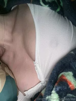 Misslushrose / brittney-bush / lilmissross / misslushrose222 nude photo #0306