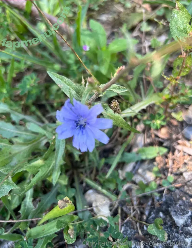 missoliviadarling nude photo #0004 (missoliviadarling)