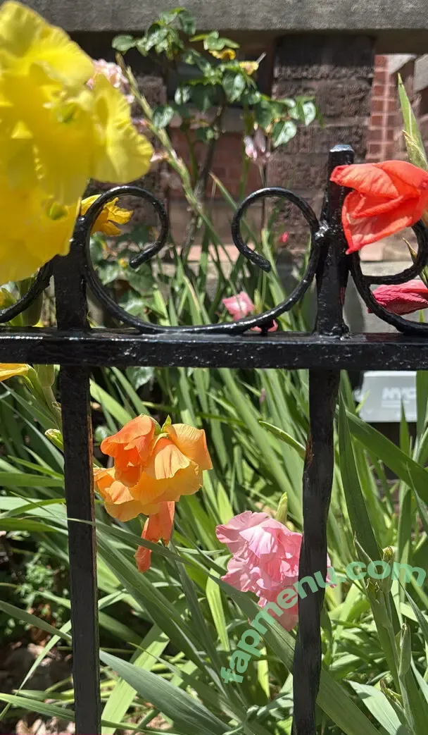 MissQueenieXOX nude photo #0318 (missqueeniexo / missqueeniexoxo)