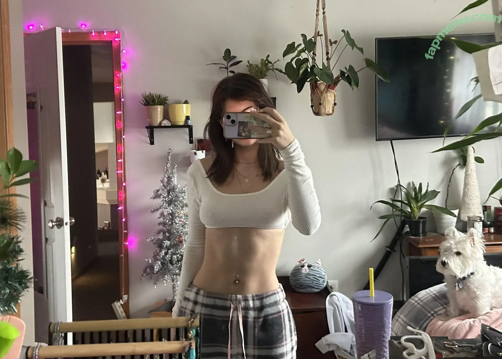 Misssmeow nude photo #0012 (misss.meow)