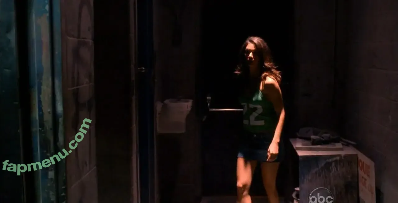 Missy Peregrym nude photo #0052 (mperegrym)