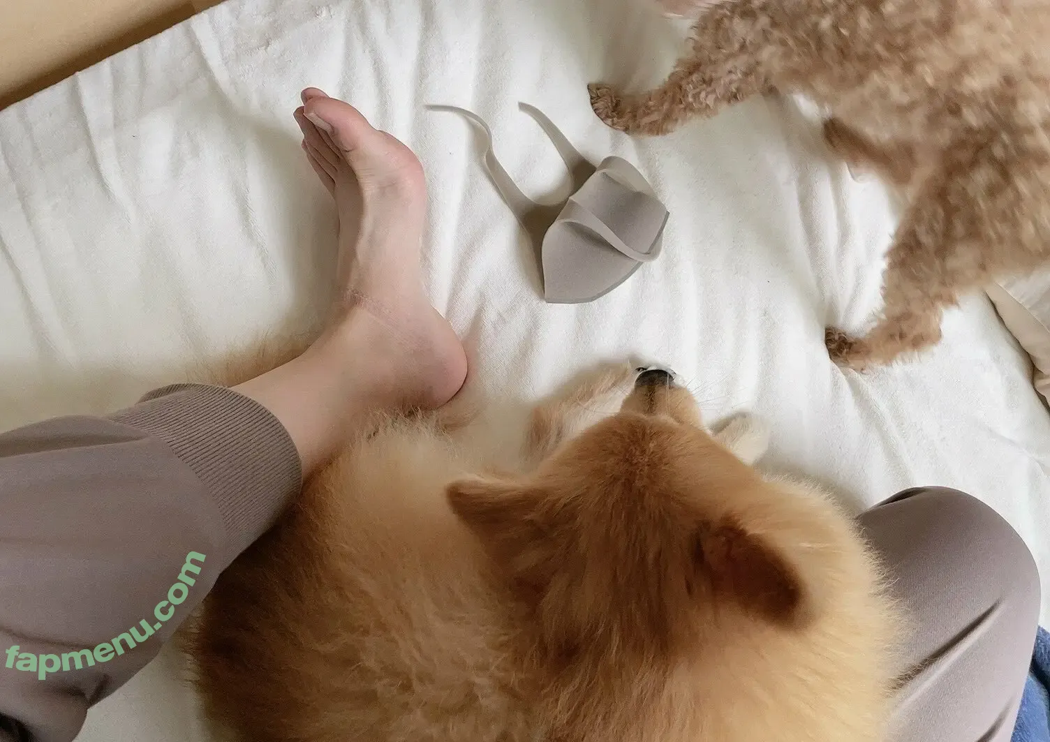 Miyabi Kugimachi nude photo #0032 (miyajyaga382)