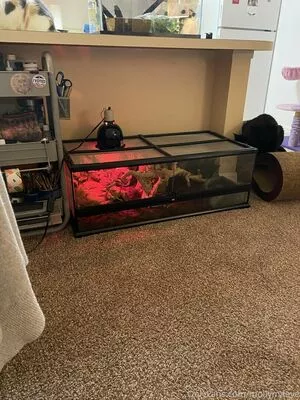 mollymaeve / mollymaeve_ / smtten_kitten nude photo #0007