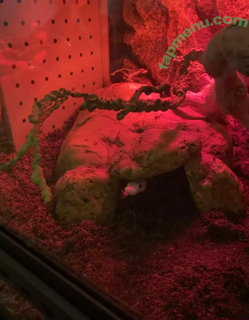 mollymaeve nude photo #0006 (mollymaeve_ / smtten_kitten)