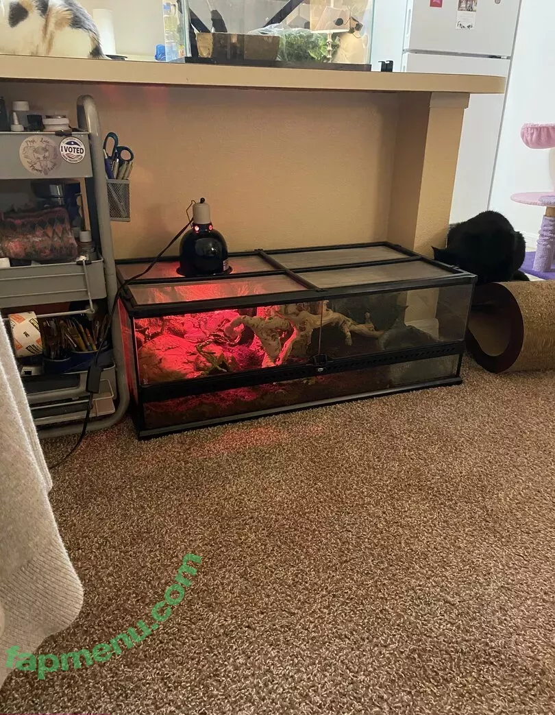 mollymaeve nude photo #0007 (mollymaeve_ / smtten_kitten)