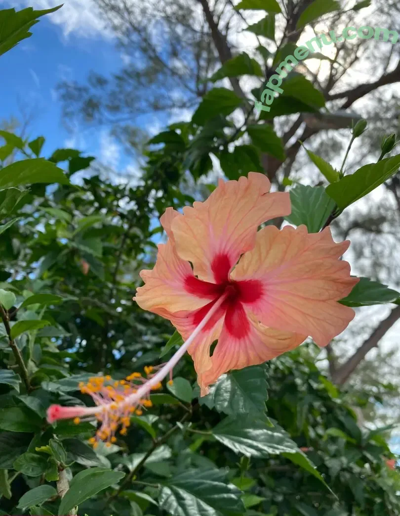 mollypills nude photo #0132 (hornyhiking)