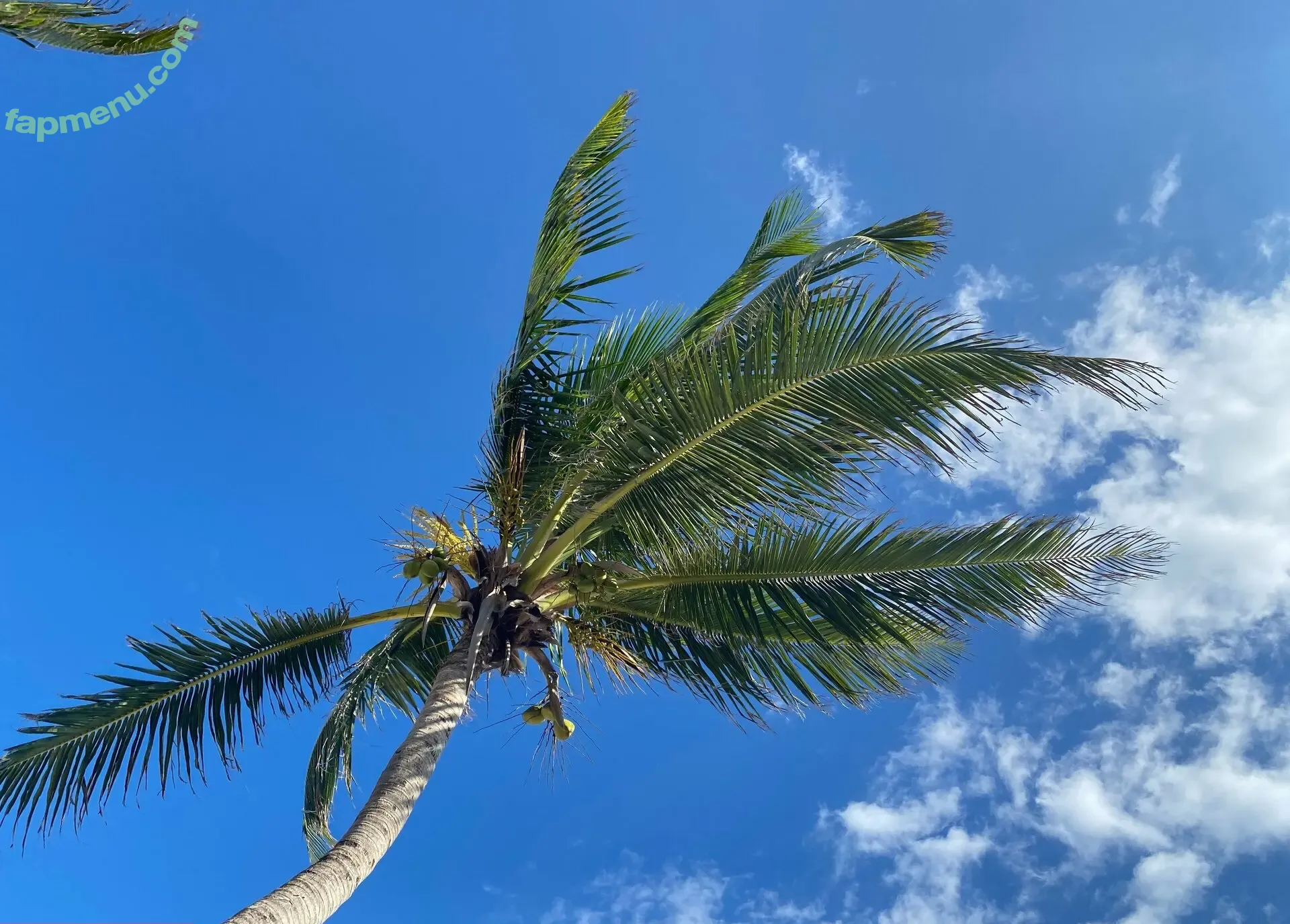 mollypills nude photo #0169 (hornyhiking)