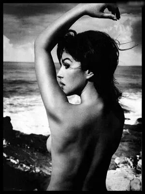 Monica Bellucci / aMonicaBellucci / bellucciginebra / monicabellucciofficiel nude photo #0438