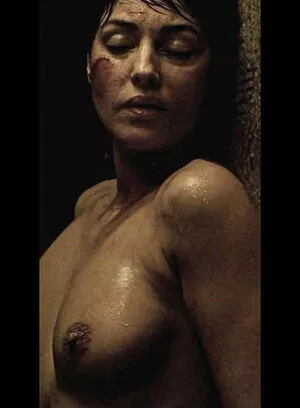 Monica Bellucci / aMonicaBellucci / bellucciginebra / monicabellucciofficiel nude photo #0621