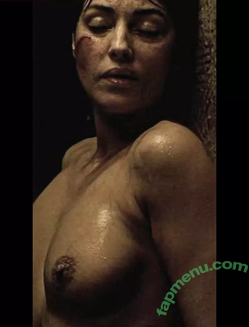 Monica Bellucci nude photo #0621 (aMonicaBellucci / bellucciginebra / monicabellucciofficiel)