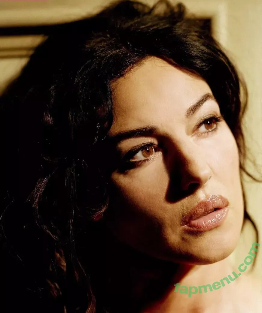 Monica Bellucci nude photo #0789 (aMonicaBellucci / bellucciginebra / monicabellucciofficiel)
