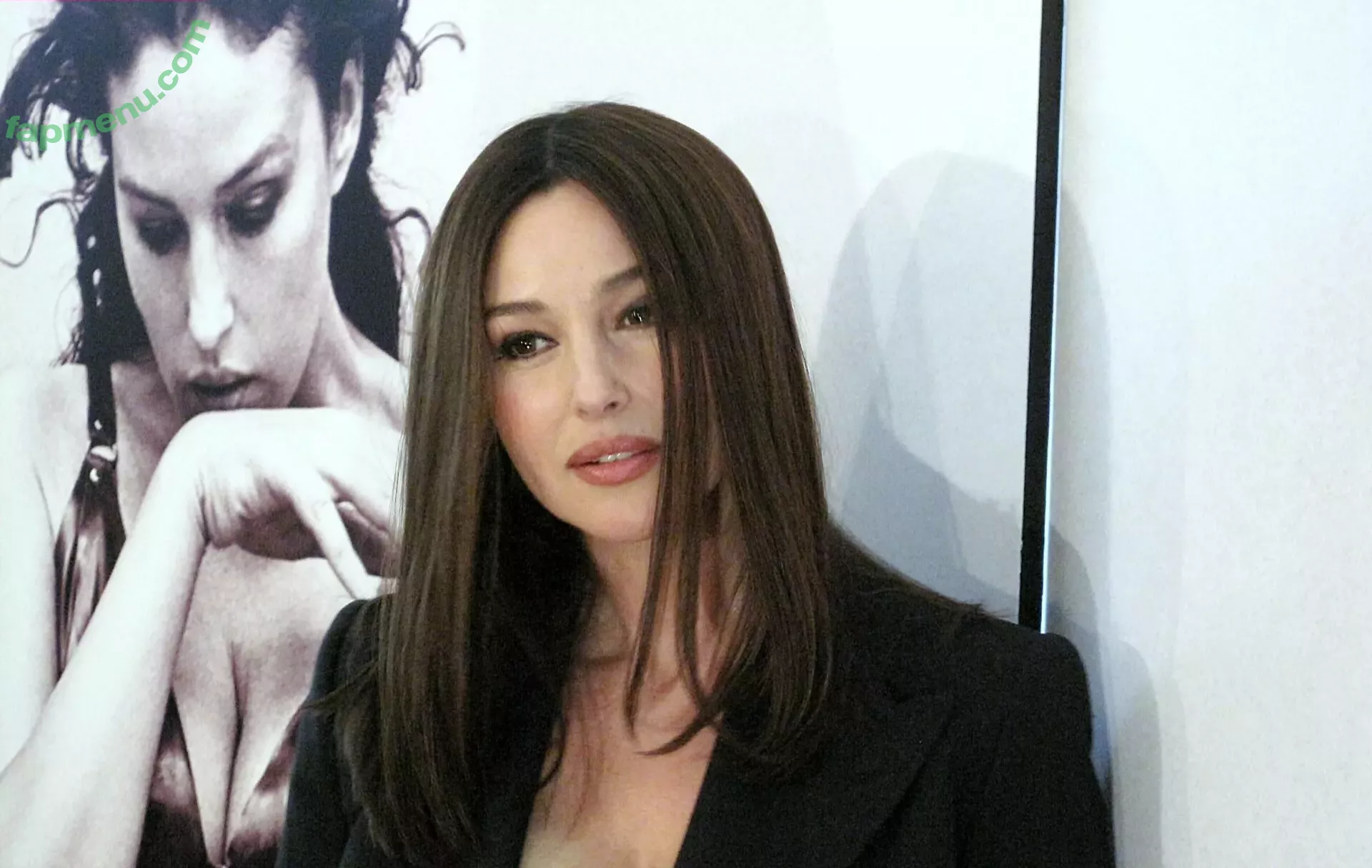 Monica Bellucci nude photo #0997 (aMonicaBellucci / bellucciginebra / monicabellucciofficiel)