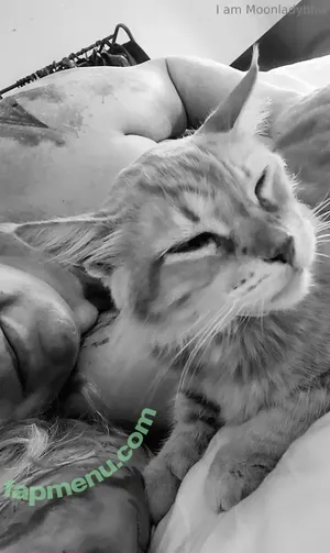 moonladybbw_free / moonladyy33 nude photo #0109