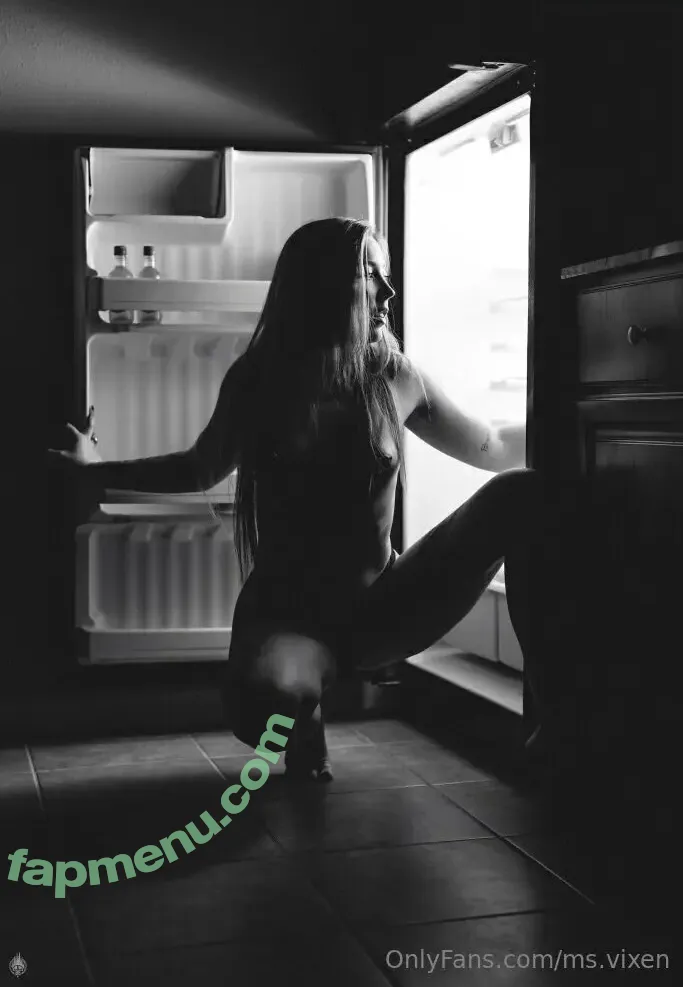 ms.vixen nude photo #0037 (themsvixen)