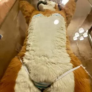 Murrsuit / Faunhouse / Softsuit / afterdark_bunny / lotuslafawn / shichimi.togarashi nude photo #0015