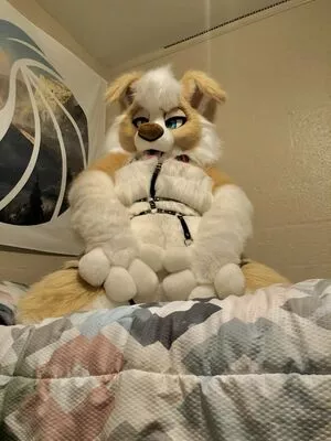 Murrsuit / Faunhouse / Softsuit / afterdark_bunny / lotuslafawn / shichimi.togarashi nude photo #0100