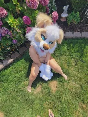 Murrsuit / Faunhouse / Softsuit / afterdark_bunny / lotuslafawn / shichimi.togarashi nude photo #0102