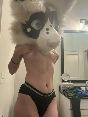 Murrsuit / Faunhouse / Softsuit / afterdark_bunny / lotuslafawn / shichimi.togarashi nude photo #0195