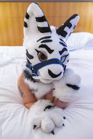 Murrsuit / Faunhouse / Softsuit / afterdark_bunny / lotuslafawn / shichimi.togarashi nude photo #0230