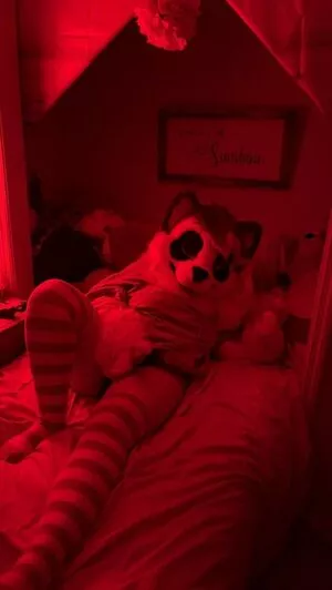 Murrsuit / Faunhouse / Softsuit / afterdark_bunny / lotuslafawn / shichimi.togarashi nude photo #0238