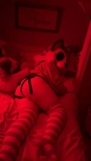 Murrsuit / Faunhouse / Softsuit / afterdark_bunny / lotuslafawn / shichimi.togarashi nude photo #0239