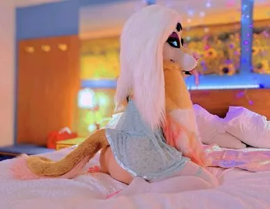 Murrsuit / Faunhouse / Softsuit / afterdark_bunny / lotuslafawn / shichimi.togarashi nude photo #0335