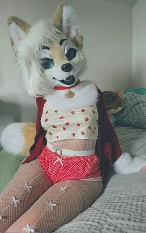 Murrsuit / Faunhouse / Softsuit / afterdark_bunny / lotuslafawn / shichimi.togarashi nude photo #0444