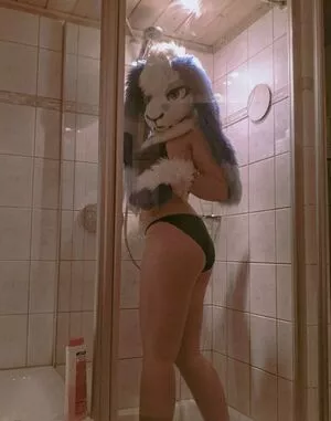 Murrsuit / Faunhouse / Softsuit / afterdark_bunny / lotuslafawn / shichimi.togarashi nude photo #0464