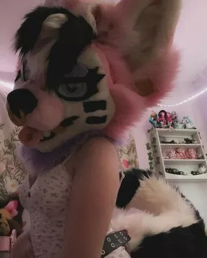 Murrsuit / Faunhouse / Softsuit / afterdark_bunny / lotuslafawn / shichimi.togarashi nude photo #0551