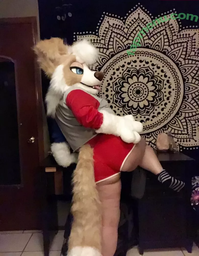 Murrsuit nude photo #0097 (Faunhouse / Softsuit / afterdark_bunny / lotuslafawn / shichimi.togarashi)