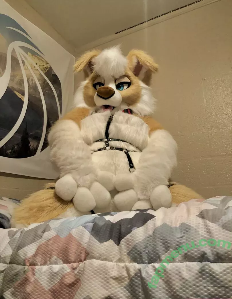 Murrsuit nude photo #0100 (Faunhouse / Softsuit / afterdark_bunny / lotuslafawn / shichimi.togarashi)