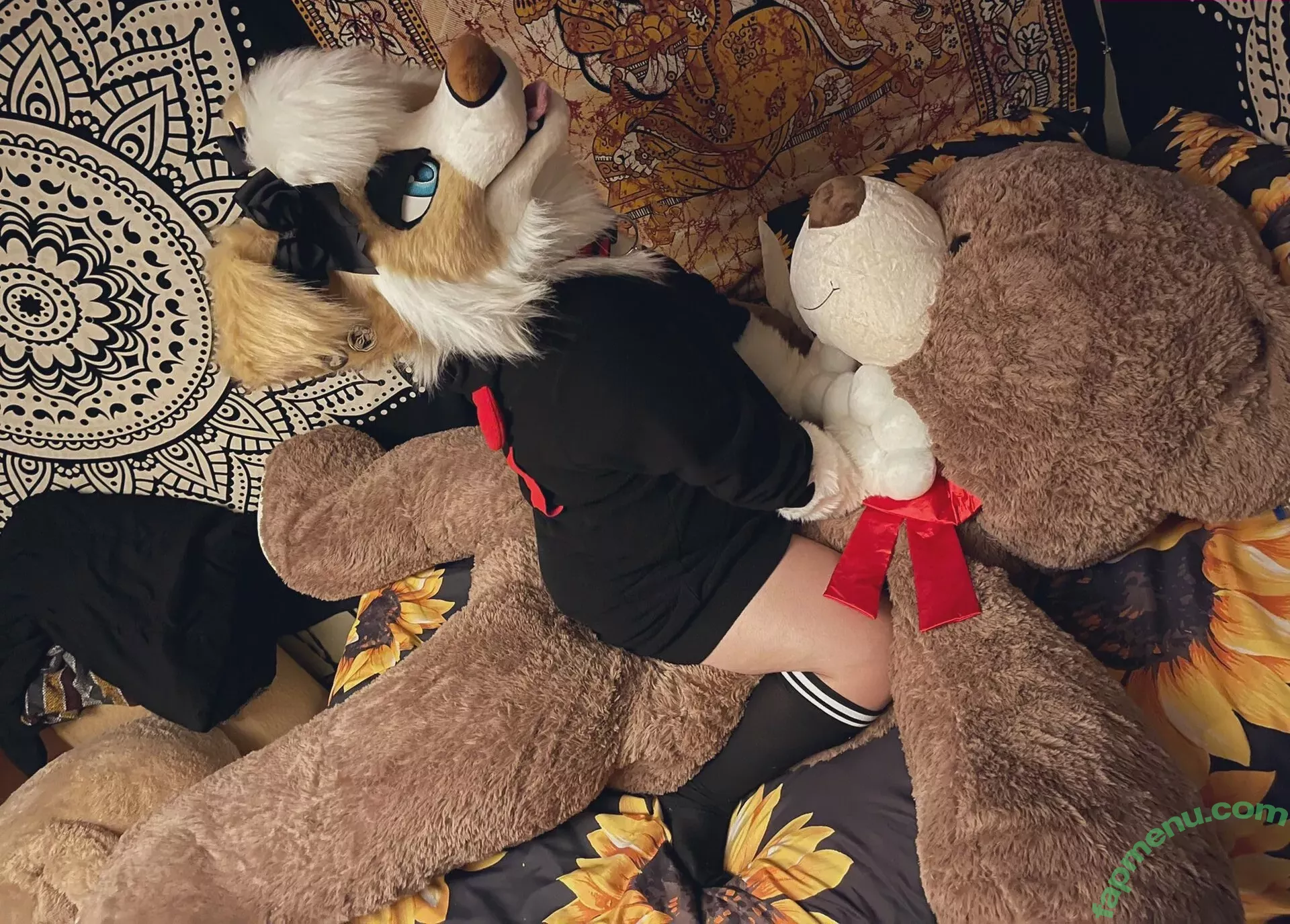 Murrsuit nude photo #0103 (Faunhouse / Softsuit / afterdark_bunny / lotuslafawn / shichimi.togarashi)