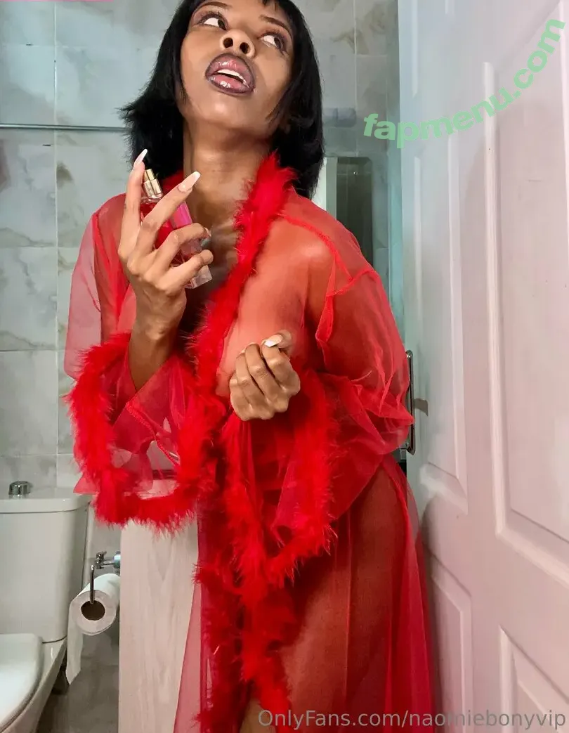 naomiebonyvip nude photo #0072 (naomi_eb0ny)