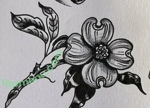 Natalie Rose / missnatalierose / natalierose420 / nnapples_ nude photo #0166