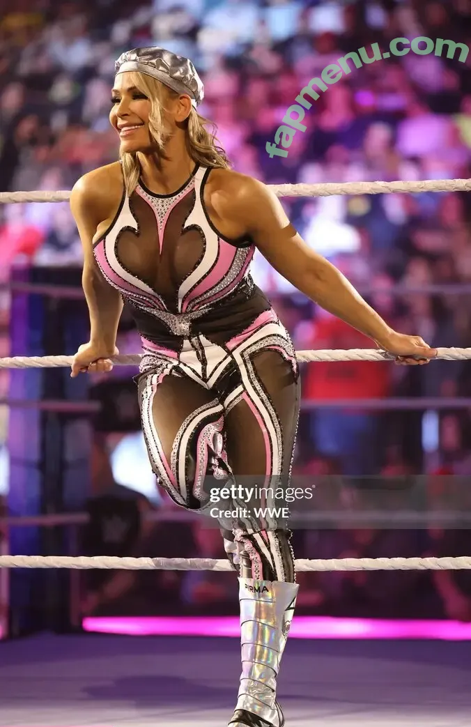 Natalya Neidhart nude photo #0132 (natalya_boat)