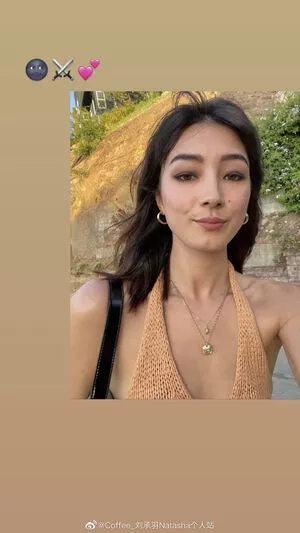 Natasha Liu Bordizzo / natashaliubordizzo nude photo #0063