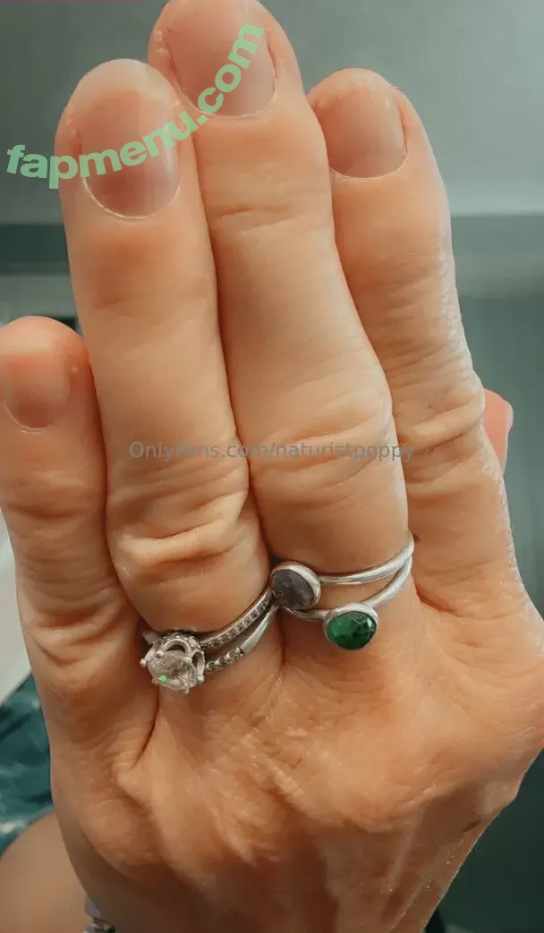 naturistpoppy nude photo #0149 (thelinenpoppy)