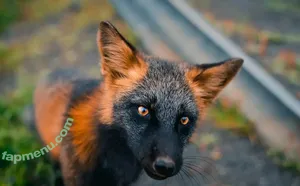 Naughtyfox89 / Sexylewdfox89 / Sexyredfox89 / yourfay89 nude photo #0034