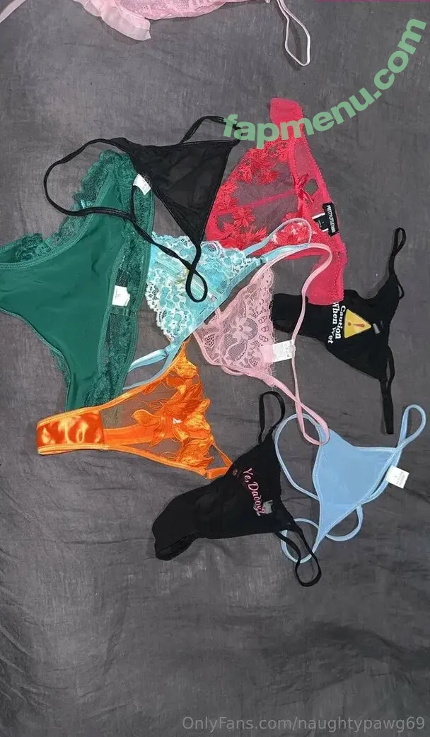 naughtypawg69 nude photo #0012 (naughtyg_)