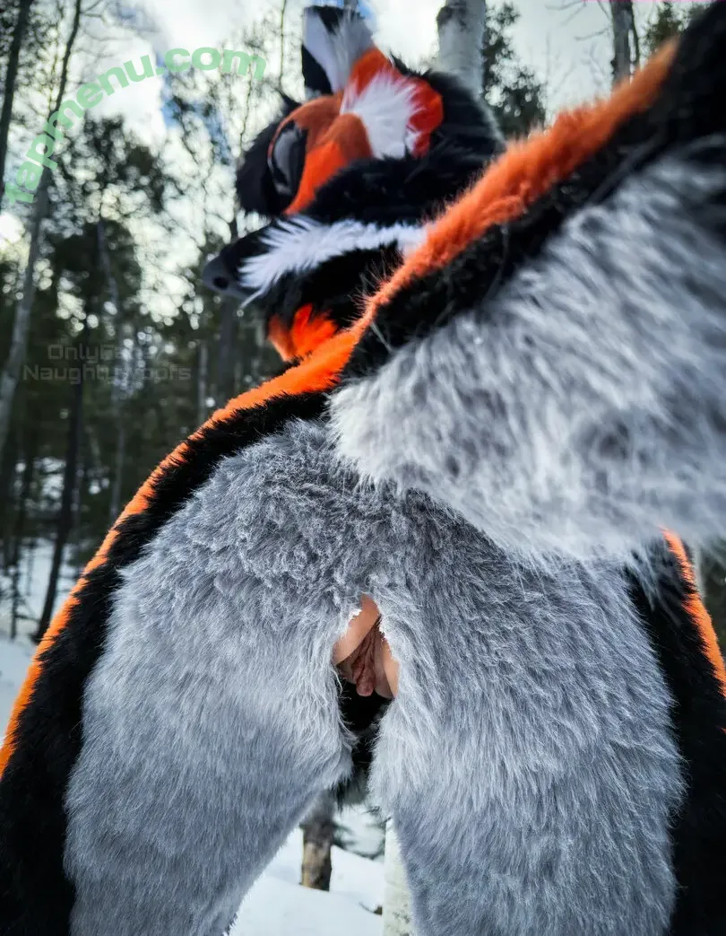 naughtywoofs nude photo #0080 (naughtywoofs)