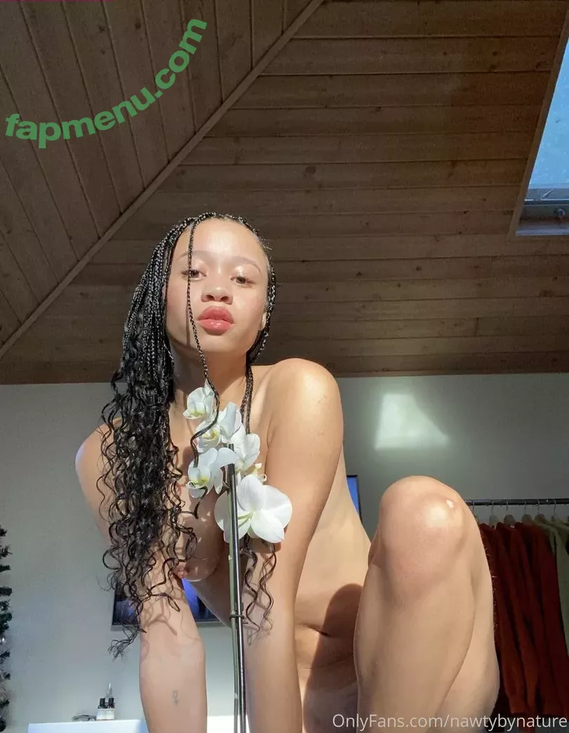 NawtyByNature nude photo #0003 (nawtyybynature)