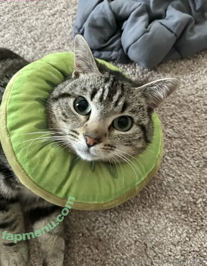 Nephallic nude photo #0294 (anyuser / nephallic_)