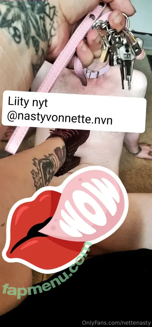nettenasty nude photo #0020 (nettenasty)
