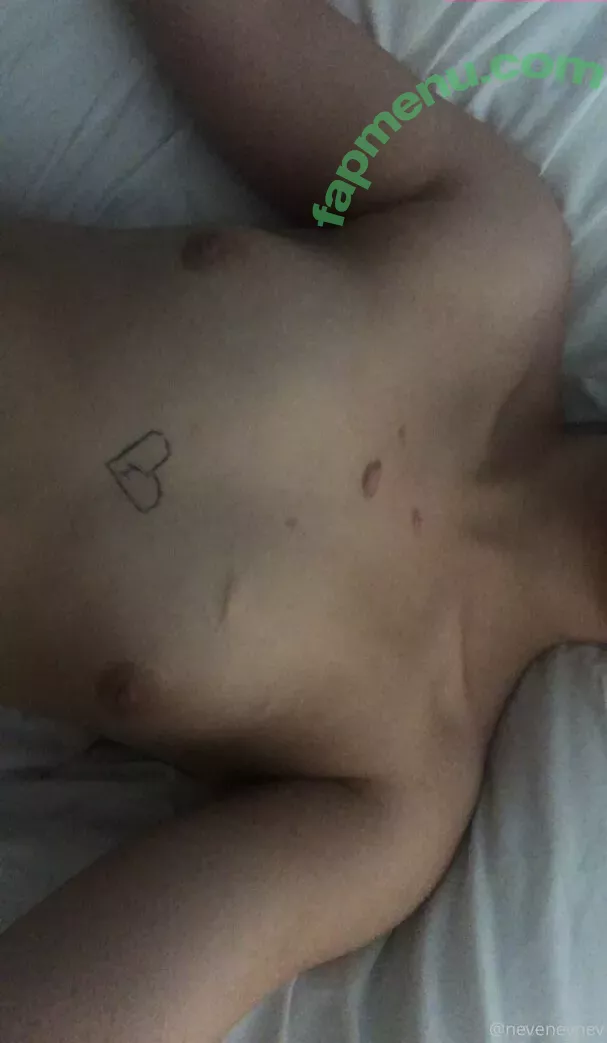 nevenevnev nude photo #0077 (borstnevin)