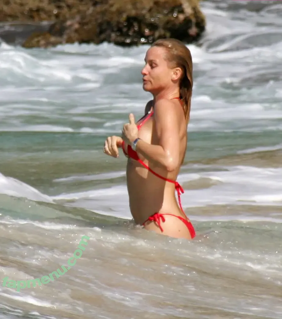 Nicollette Sheridan nude photo #0008 (nicollettesheridan)