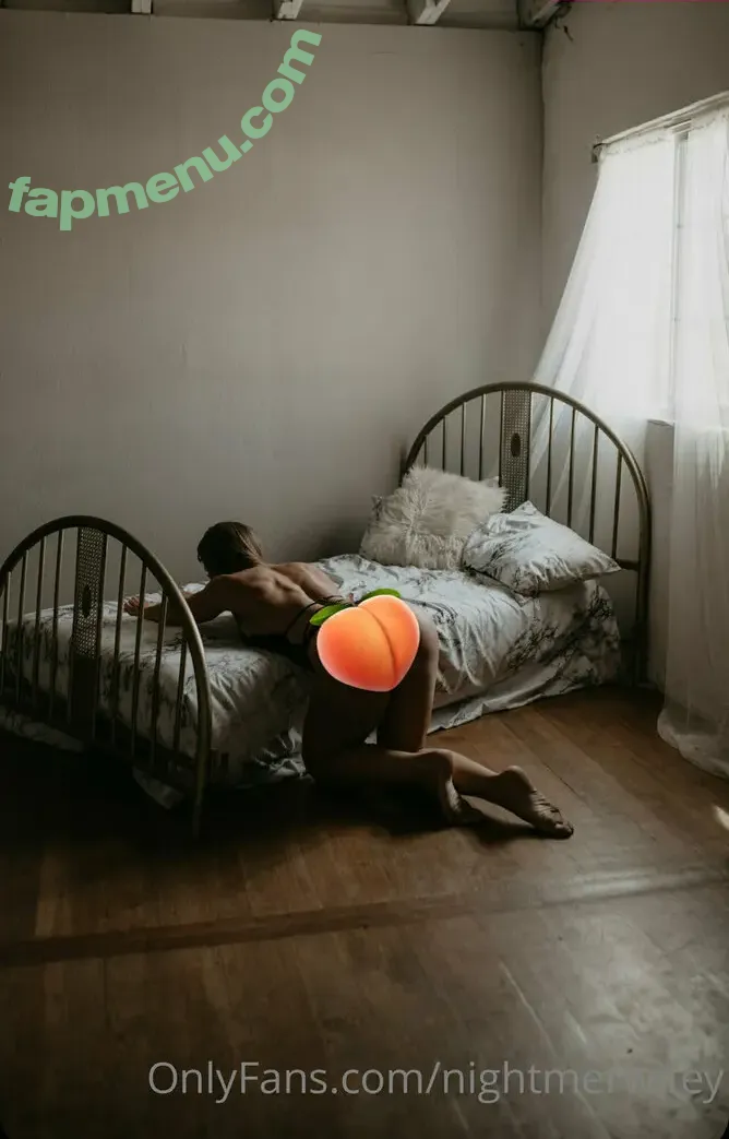 nightmertv nude photo #0020 (nightmedia)